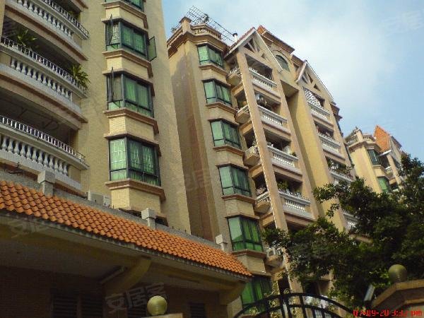 武清高村牛镇最新房源信息,理想的居住选择