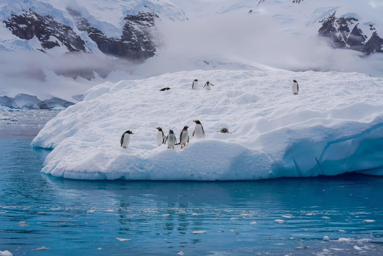 南极冰川的最新奇遇
