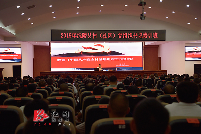 沅陵红网最新民意反映——科技新品璀璨登场,引领生活新潮流