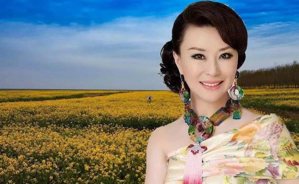 唐歌演员,演艺之路的璀璨之星