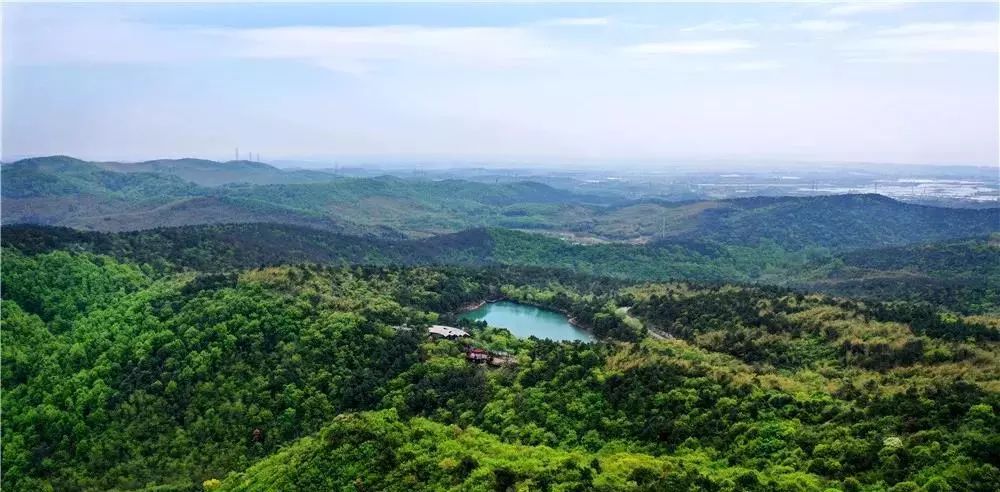 南京溧水最新动态,湖畔的温馨时光