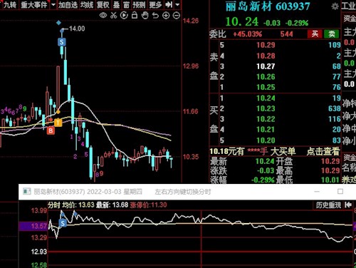 丽岛新材股票股吧,深度解读与投资者心声