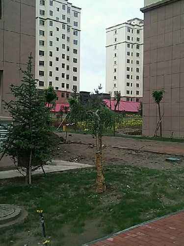 甘肃靖远楼房出售,科技革新,生活从此不凡