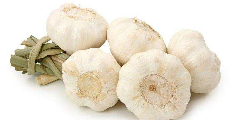 温馨金乡,大蒜情缘