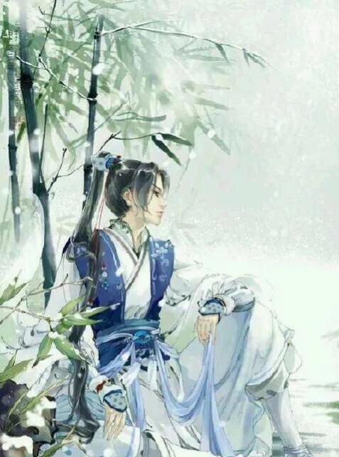 纨绔世子妃电视,一部融合传统与现代元素的古装言情剧