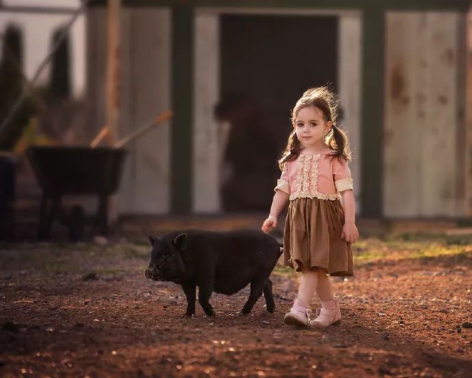 平顶山暴雨最新动态,风雨中的励志故事,自信与成就感的交响曲