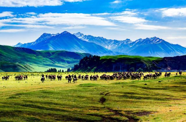 爱视集团上市,一场自然美景的启程,探寻内心的平和与宁静