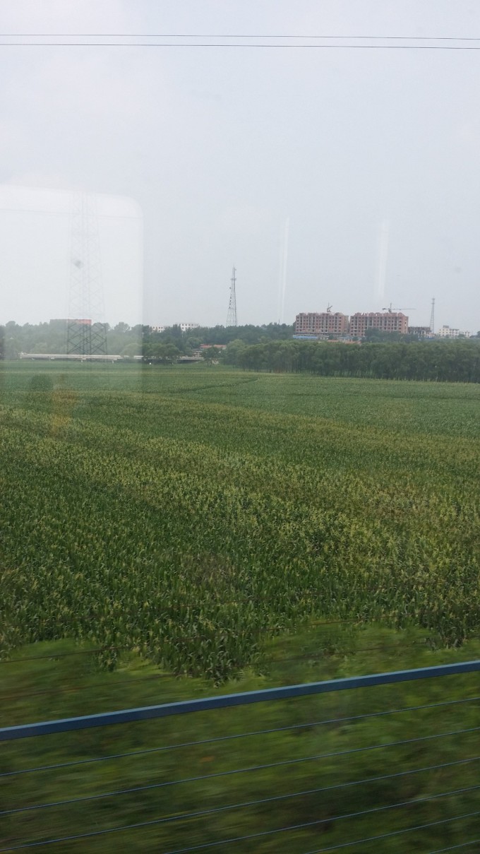 社旗高速最新动态,驶向自然美景的旅程,探寻内心的宁静