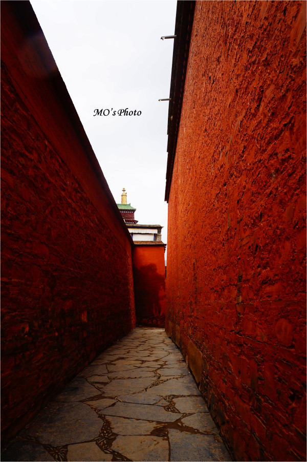 社旗高速最新动态,驶向自然美景的旅程,探寻内心的宁静