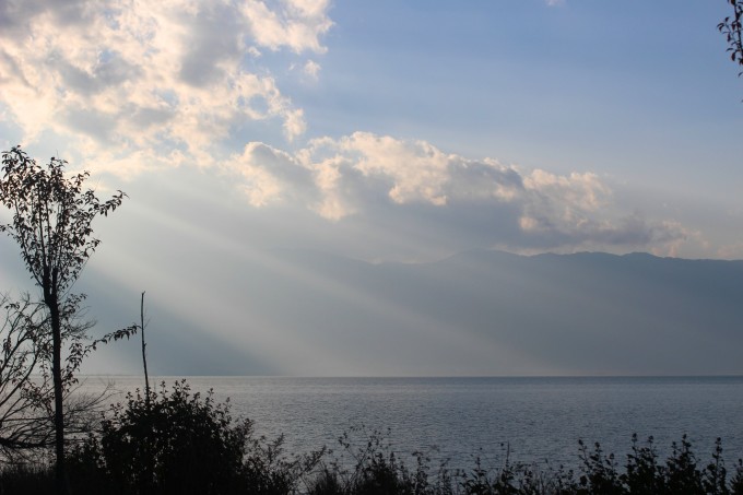 社旗高速最新动态,驶向自然美景的旅程,探寻内心的宁静