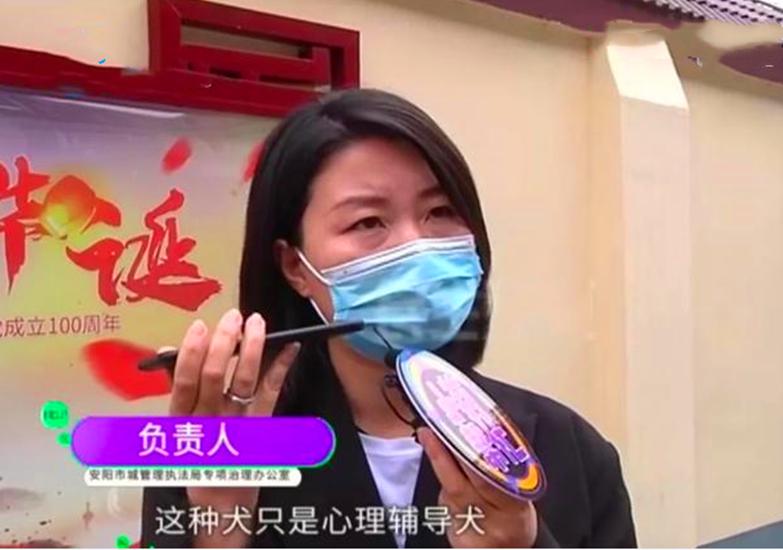 小莉帮忙最新节目回顾,学习变化,自信成就,一路向前