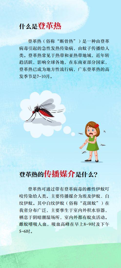 广州登革热最新消息,一场自然美景的探索之旅,寻找内心的平和