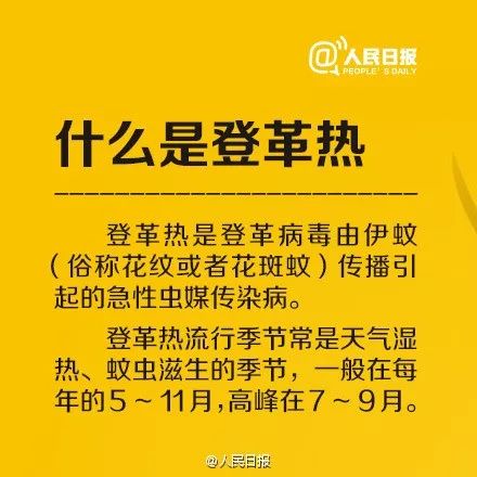 广州登革热最新消息,一场自然美景的探索之旅,寻找内心的平和