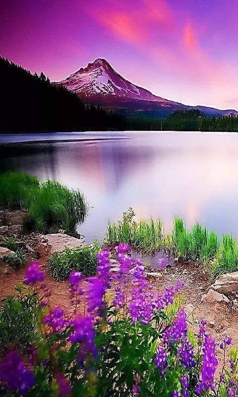 电视淘宝,一场自然美景的心灵之旅