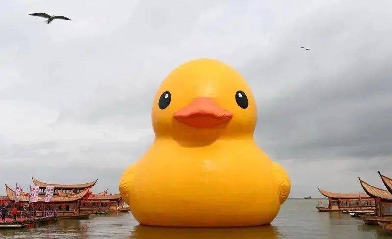 小黄鸭明星,一场寻找内心平静的奇妙旅程