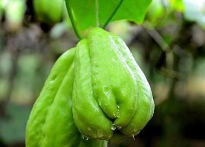 全面上市步骤指南