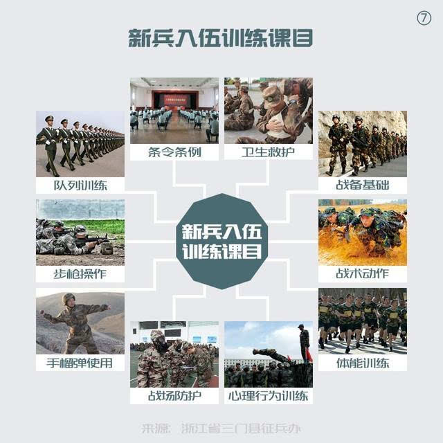 宋寿金最新动态,全方位解读与观点阐述