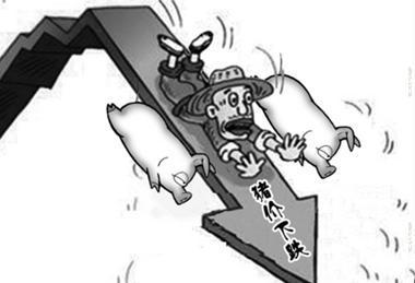 温氏最新猪肉价格,时代的印记与市场的波动