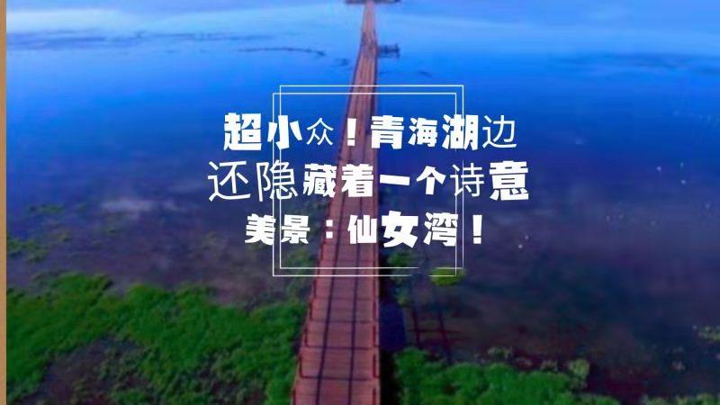 奉新冯田,招聘信息与自然美景的诗意碰撞