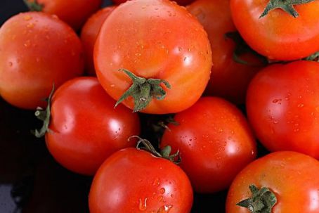 2025年西红柿价格行情与我们的日常小故事