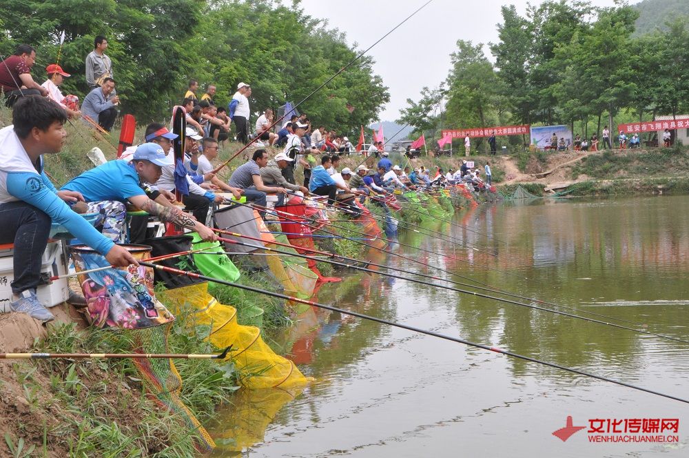 最新延安钓鱼资讯🎣🌿