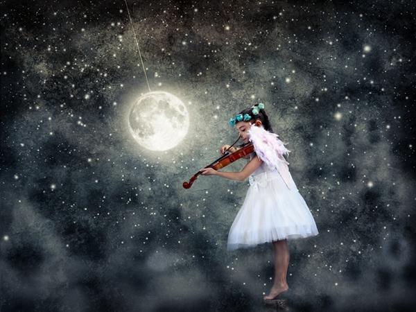 今世福非法集资动态,揭示与警示