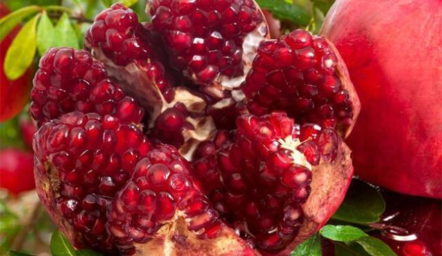 石榴最新价格,一颗石榴如何引领你走向自信与成就之路