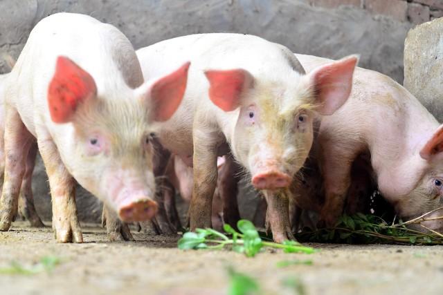 股票跌破1元,深度分析与观点阐述