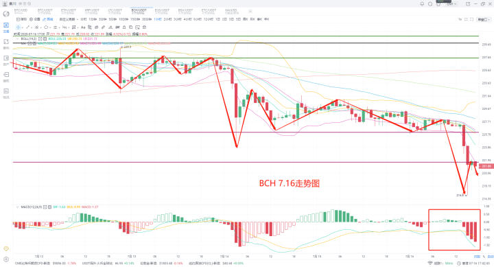 柚子价格,市场走势下的多元观点探讨