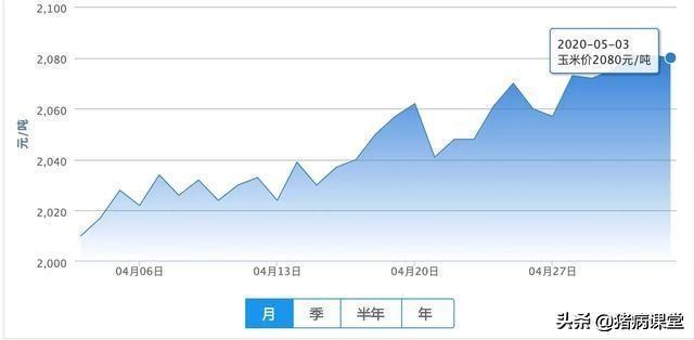 四川玉米价格最新行情详解,如何获取与理解玉米价格走势