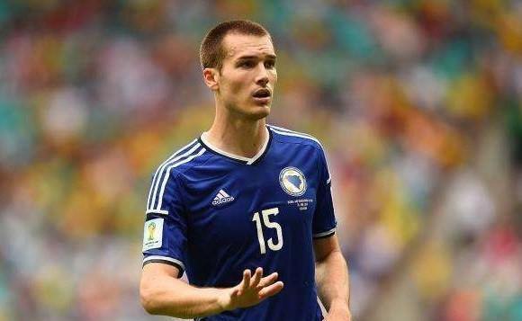 最新发布会观点论述