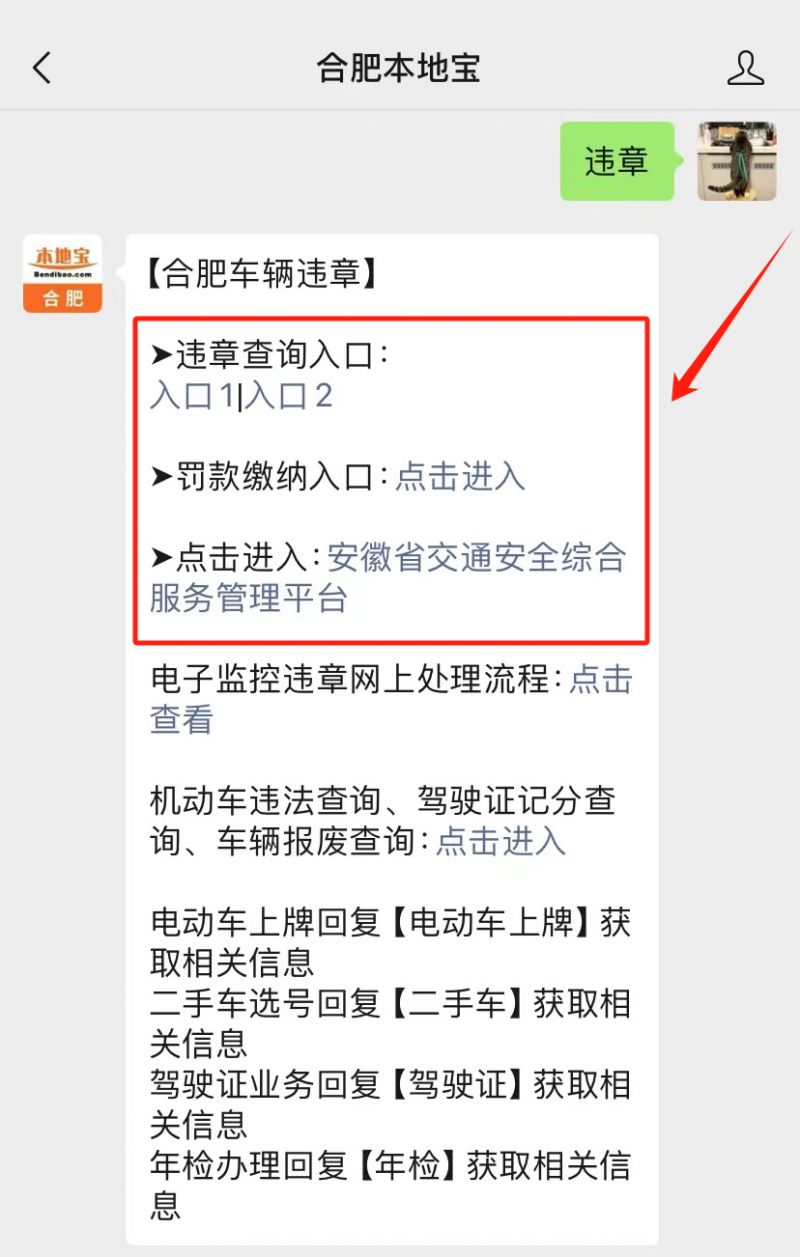 合肥交通违章查询全攻略🚦🚗
