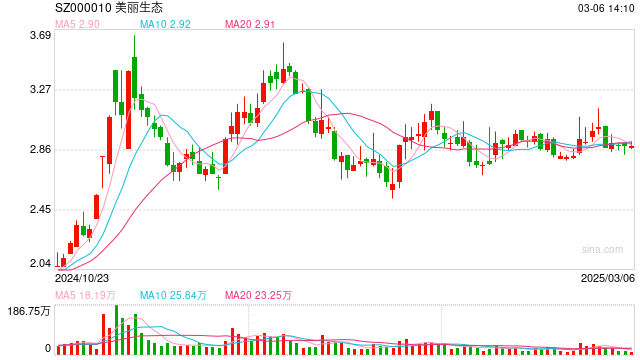 蓝标股票,投资的新焦点