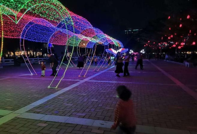 最新青娱乐资讯,城市星光下的温馨夜晚