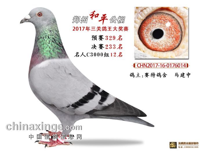 和平公棚最新通告