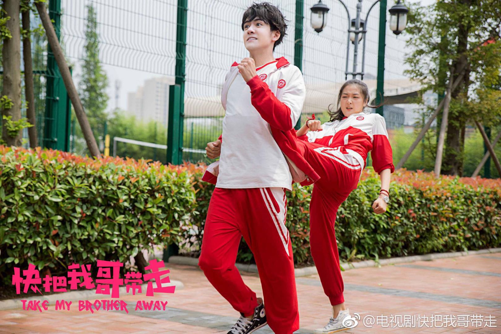 快把我哥带走电视剧演员表