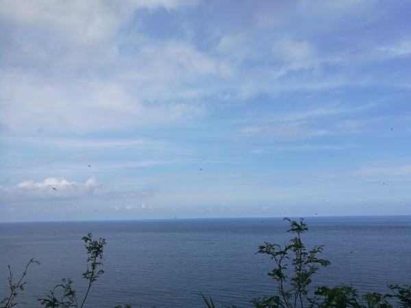 最新92油价,来一场说走就走的自然美景之旅