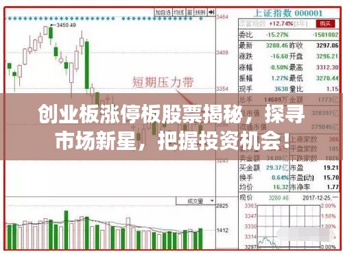 创业板股票大盘点📈 探寻股市新星🌟