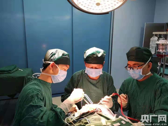 兰临高速车祸最新进展,科技重塑救援,点亮生命之光