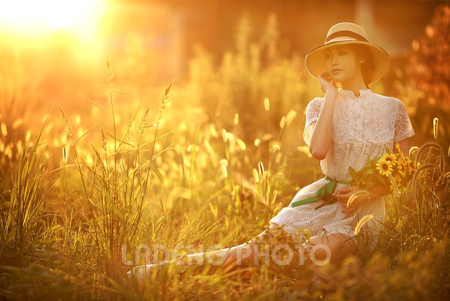 最新黄资料,阳光下的金黄时光