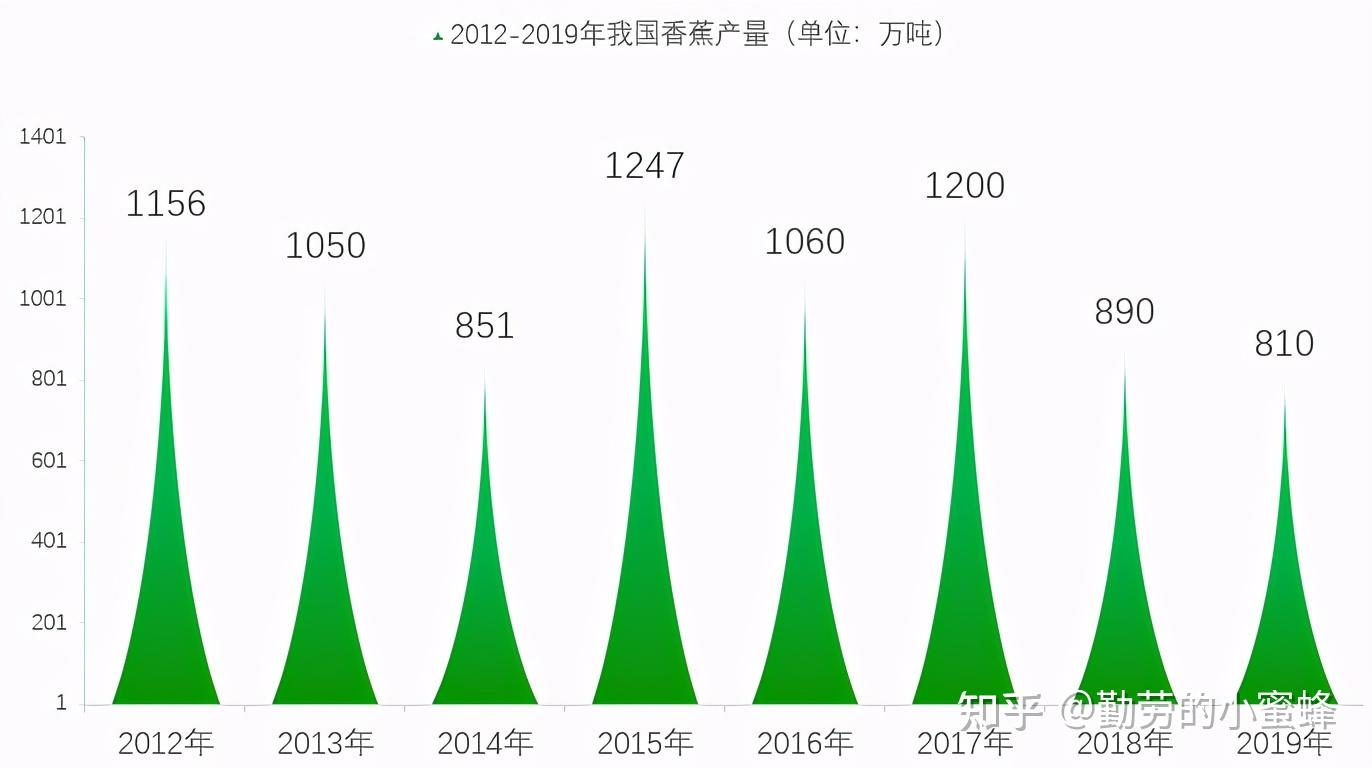 大香蕉最新,探索香蕉产业的最新动态与发展趋势