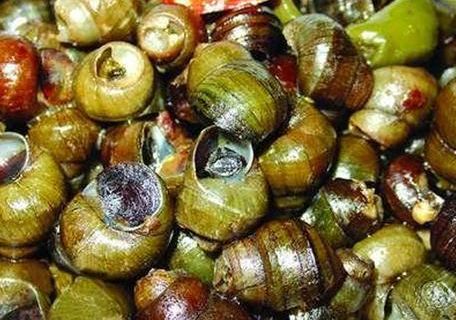 田螺销售市场的奇妙旅程