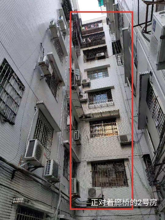 番叶资讯速递,友情的温馨驿站