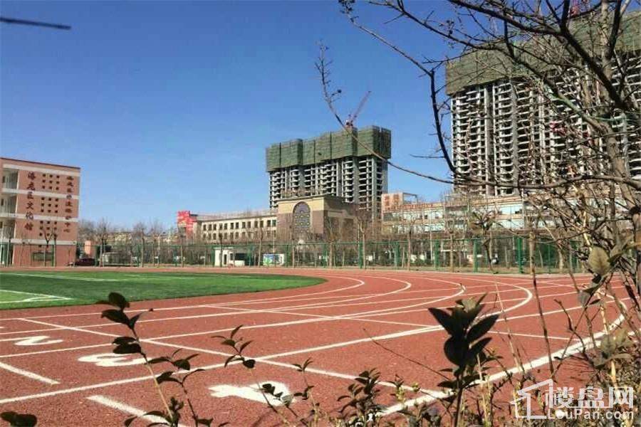 恒信绿地公馆最新动态,温馨的日常故事