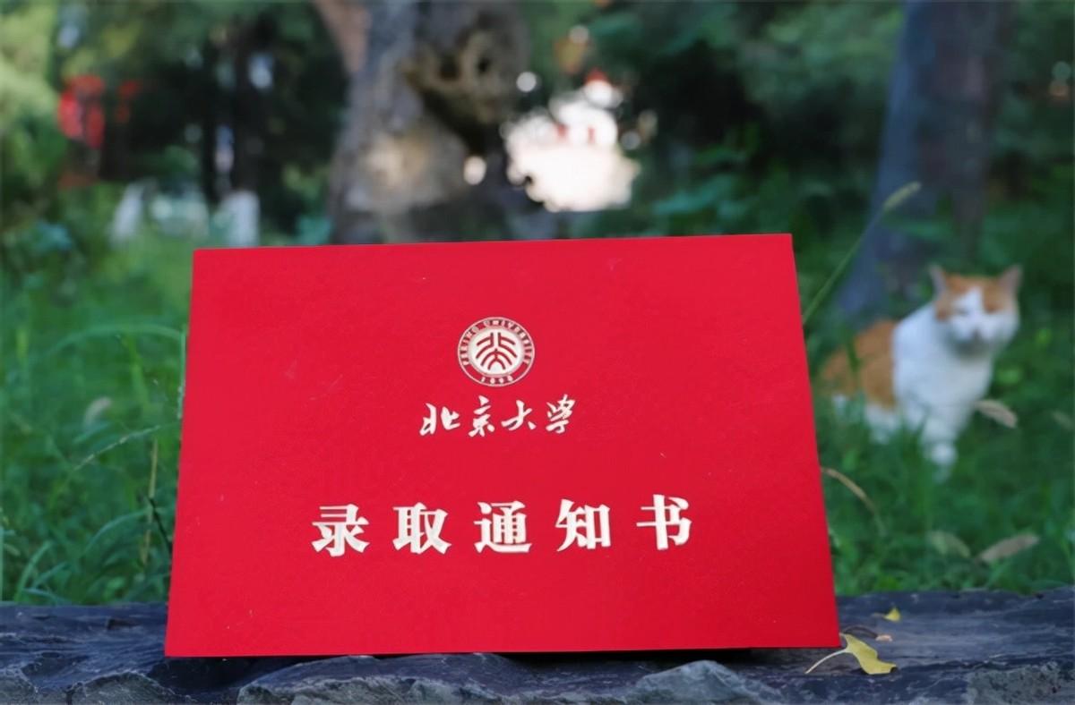 北大失踪女硕士最新进展,一场心灵之旅,重拾平静之美