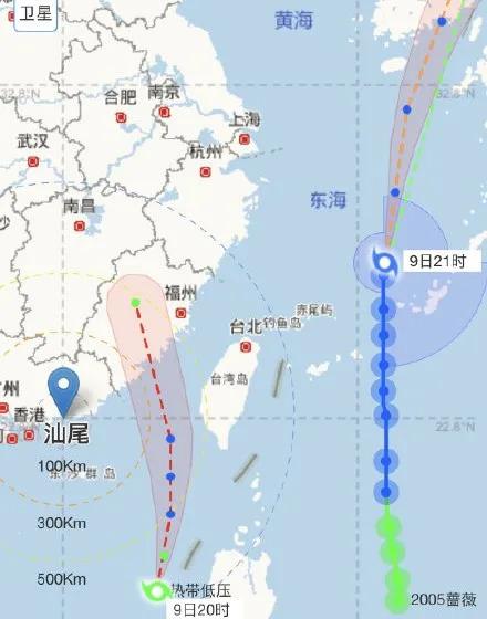 米克拉资讯,一场风暴的崛起与影响