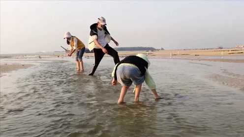 阿聪最新赶海趣事