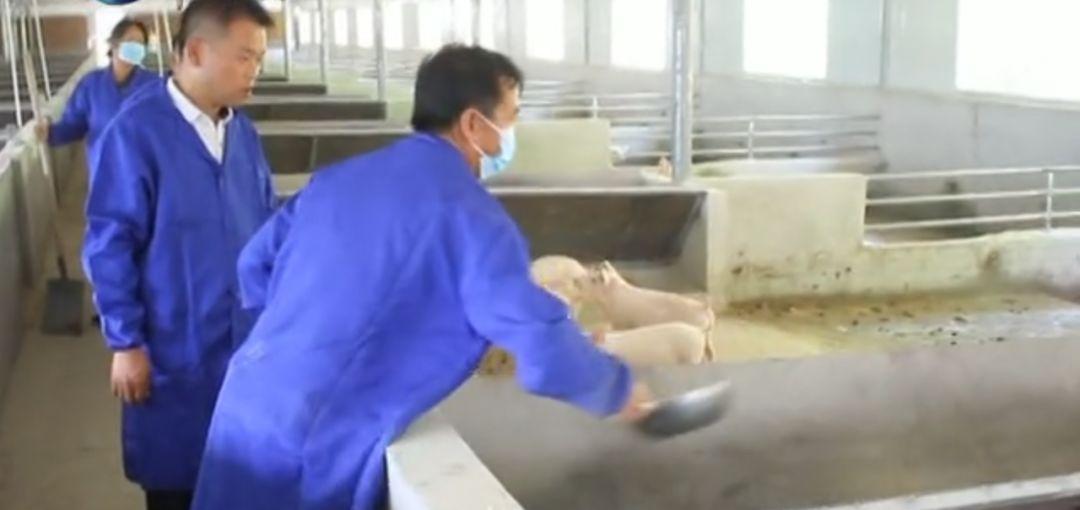 山地摩托比赛,热血与荣耀的较量