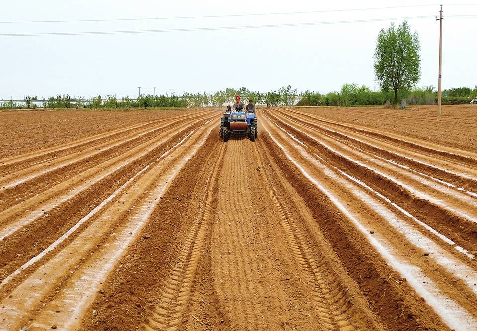 农业种子股票,播种希望,收获自信与成就