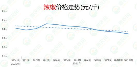 今年辣椒行情,火热如潮,你我皆能成就辉煌